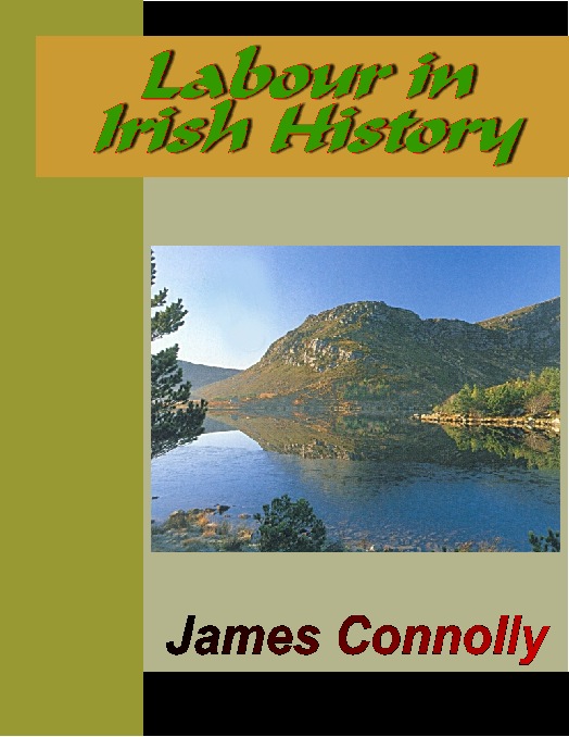 Upplýsingar um Labour in Irish History eftir James Connolly - Biðlisti
